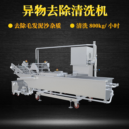 果蔬氣泡翻洗機(jī)，有效清洗，過濾泥沙