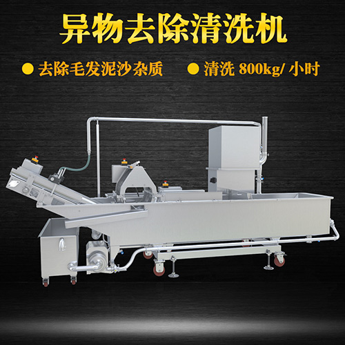 果蔬專用清洗機(jī)，氣泡清洗，清洗800kg小時(shí)