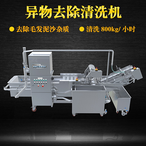 多功能水果清洗機(jī)，氣泡清洗，清洗800kg小時(shí)