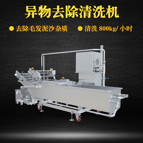 果蔬專用清洗機(jī)，氣泡清洗，清洗800kg小時(shí)